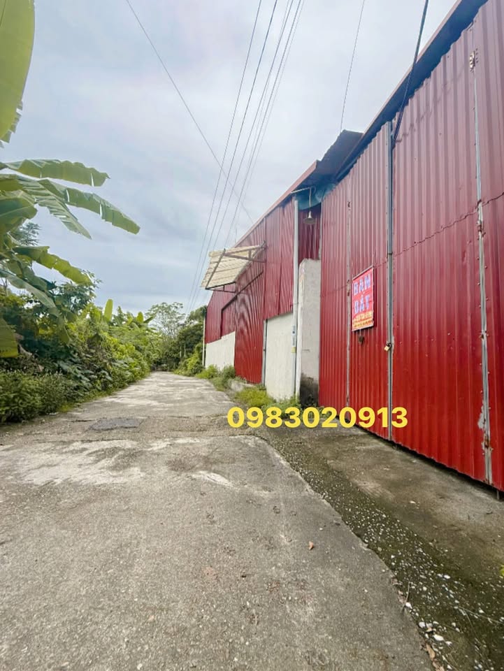 Nhà xưởng 720m² tại Chu Hóa, Việt Trì - Giá chỉ 3.6 tỷ, vị trí đắc địa!