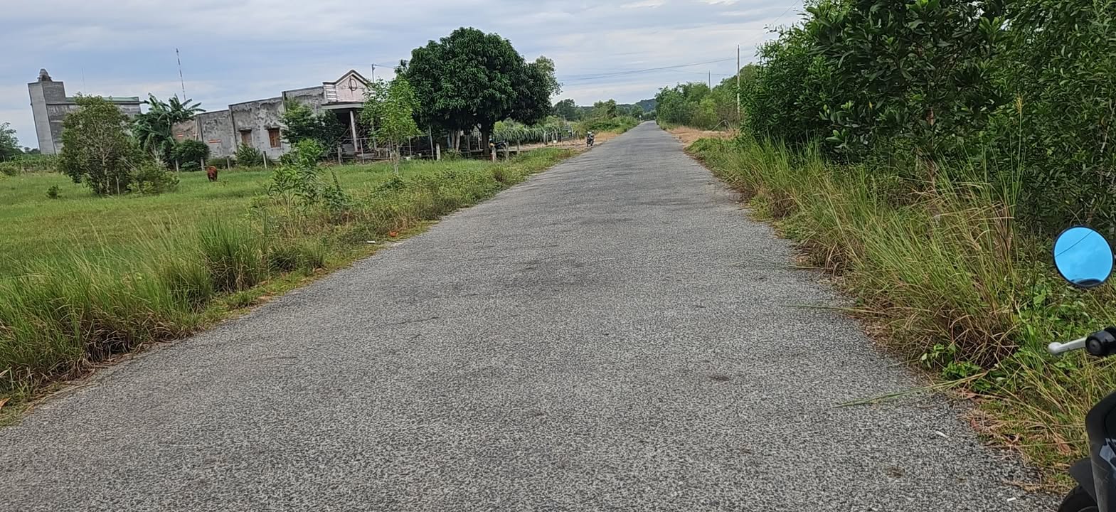 Bán đất mặt tiền Hồ Tùng Mậu Tân Hải 1000m² giá 1.2 tỷ - Sổ hồng riêng, thương lượng tốt!