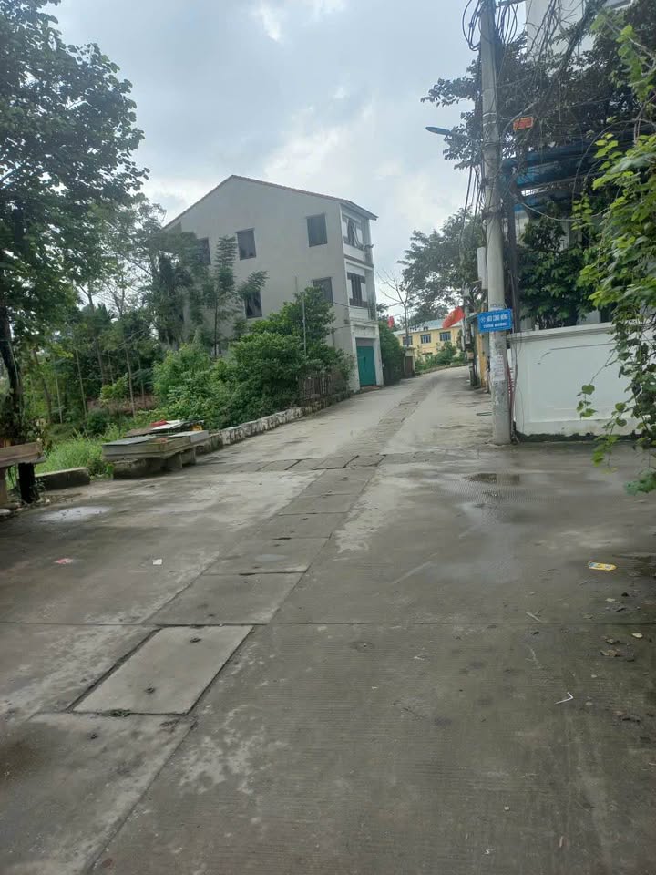 Đất nền khu phố Bướm, Thọ Lộc 104m² giá 3.12 tỷ - Đầu tư sinh lời tốt!