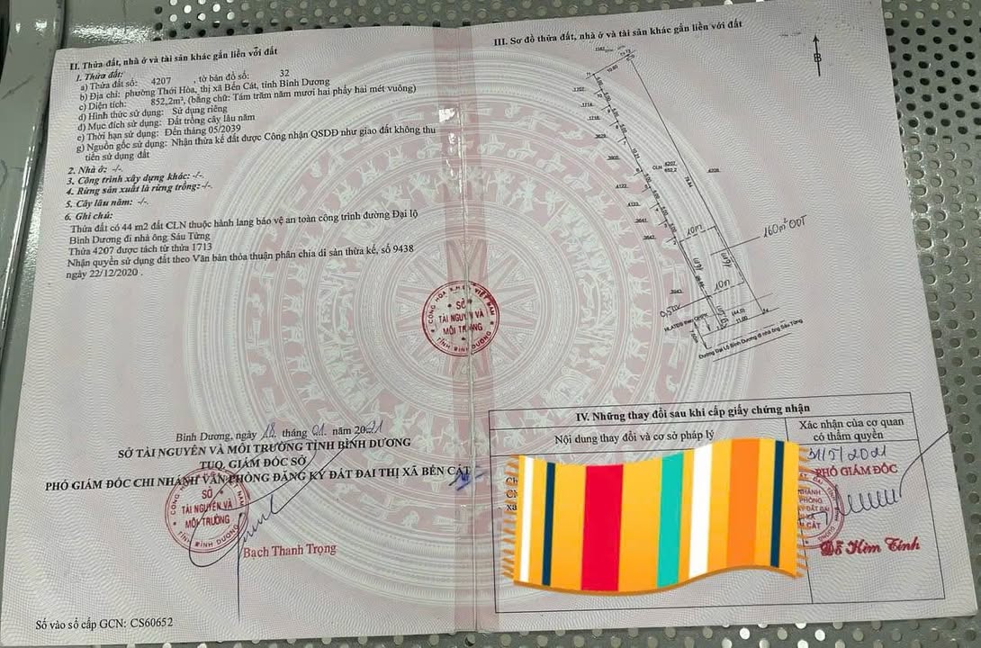 Đất mặt tiền nhựa Thới Hòa, Bến Cát 858m² giá 4.95 tỷ - Tiềm năng đầu tư cao!