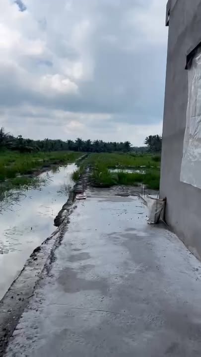 Farm nghỉ dưỡng Bình Thành 41000m² giá 2.2 tỷ - Cơ hội đầu tư tuyệt vời!