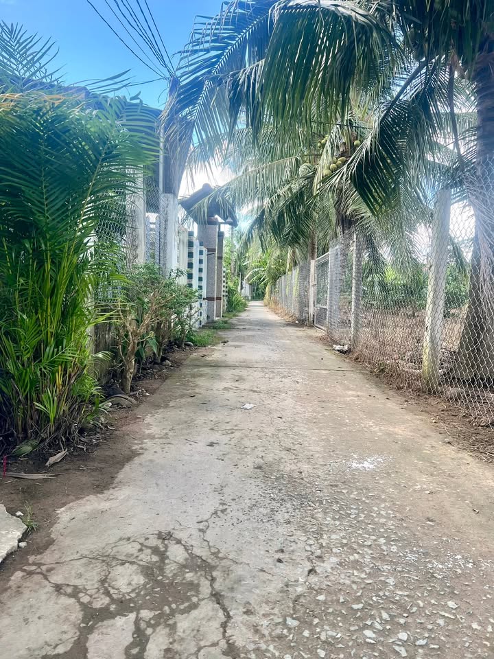 Nhà riêng Phú Nhuận, Bến Tre 210,5m² - Pháp lý rõ ràng, ô tô vào tận nơi!