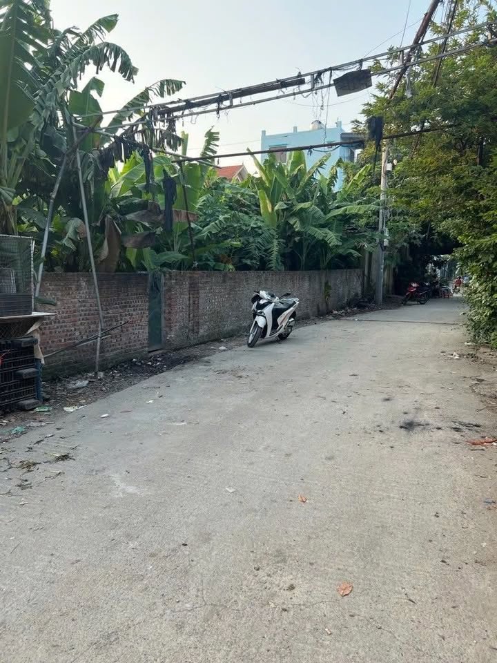 Đất nền Nguyễn Khoái Hoàng Mai 550m² giá 55 tỷ - Đầu tư chia lô sinh lời!