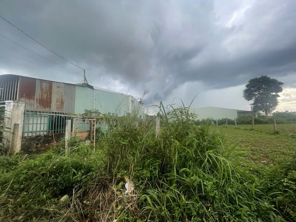 Nhà bán Hẻm 21 Nguyễn Tuân, An Phú, Pleiku 150m² giá 900 triệu - Tiện ích đầy đủ xung quanh!