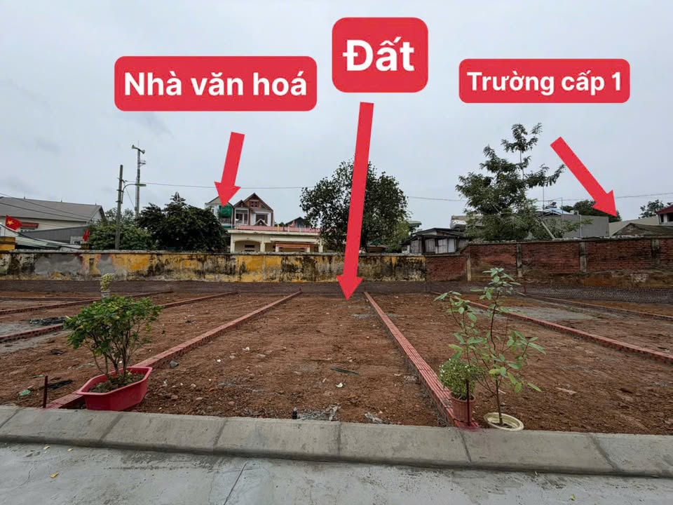 Đất nền 52m² tại phố Chùa Thông, Sơn Tây - Cơ hội đầu tư hấp dẫn!