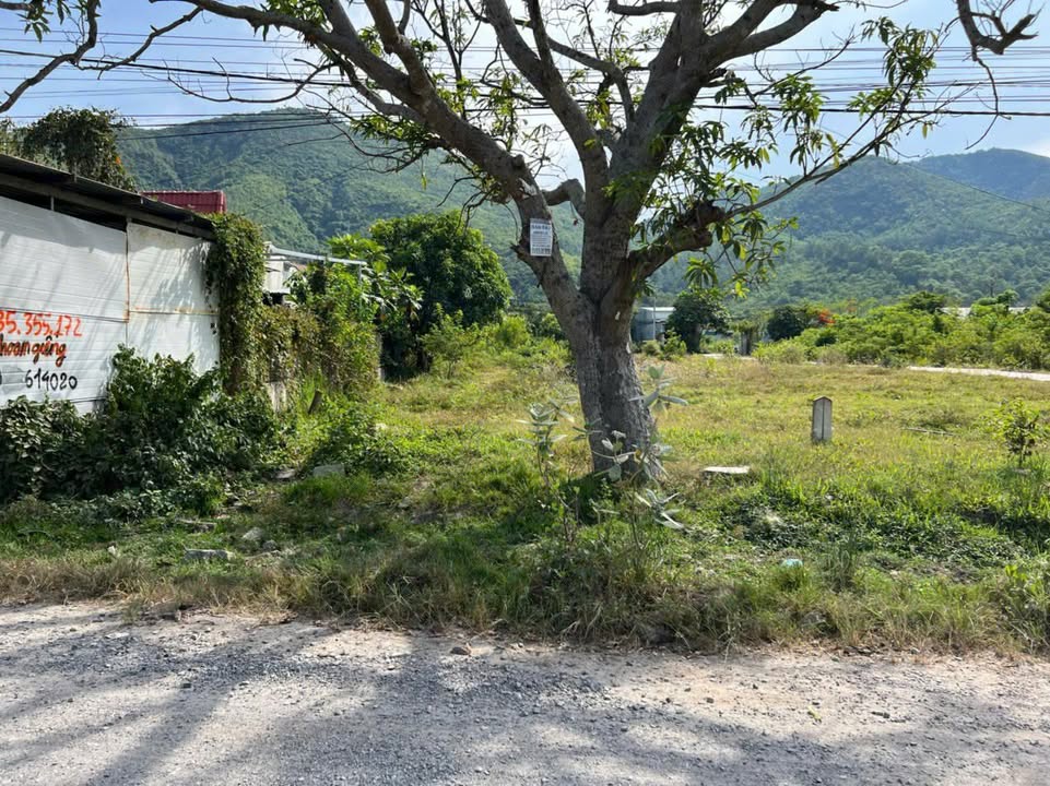 Đất 2 mặt tiền đường Thái Khang, Nha Trang 249.4m² - Giá tốt hiếm có!