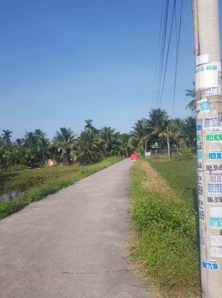 Lô đất thổ cư Phước Trạch - Diên Toàn 153m² giá 1.25 tỷ - Đầu tư sinh lời ngay!