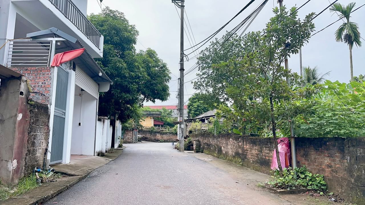 Đất nền khu 13 phường Thanh Miếu 97,5m² giá 3,15 tỷ - Vị trí đắc địa gần trung tâm!