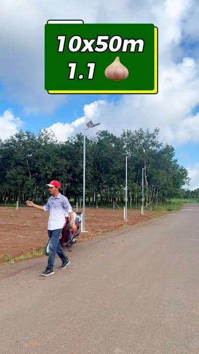 Đất nền Hòa Hội 500m² giá 1.1 tỷ - Sổ đỏ chính chủ, đầu tư thuận lợi!