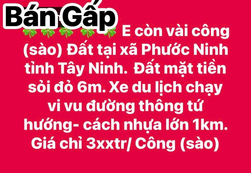 Đất mặt tiền tại xã Cầu Khởi, Tây Ninh 360m² chỉ 108 triệu - Cơ hội đầu tư tuyệt vời!