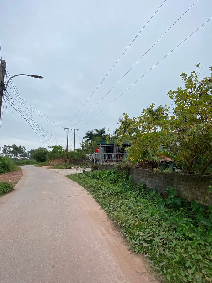 Đất nền Hải Yên Móng Cái 100m² giá 1.2 tỷ - Đầu tư sinh lời ngay!