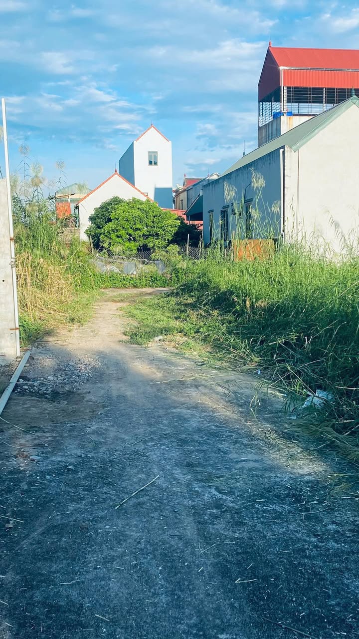 Đất thổ cư thôn Vĩnh Lộc, Chương Dương, Thường Tín 60,1m² giá nhỉnh 2 tỷ - Cơ hội hiếm có!