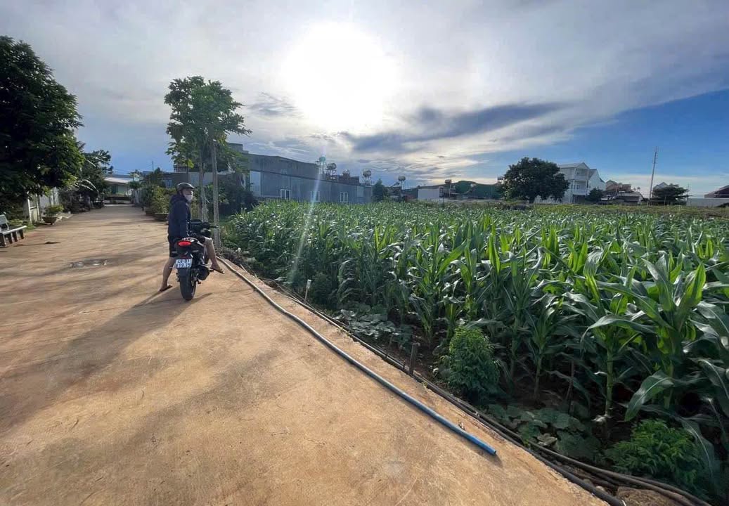 Đất mặt tiền Lê Thị Hồng Gấm, Đức Trọng 376m² giá 5.2 tỷ - Cơ hội đầu tư vàng!