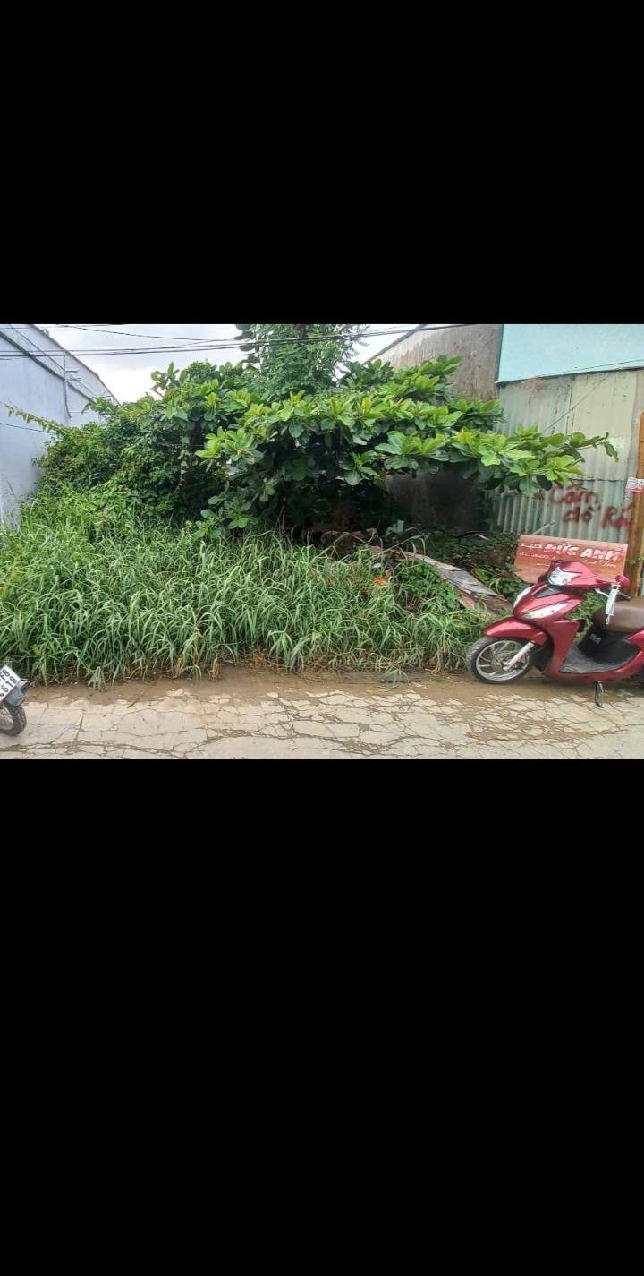 Đất nền 48m² phường 8 Cà Mau giá 500 triệu - Vị trí đẹp, khu dân cư sầm uất!