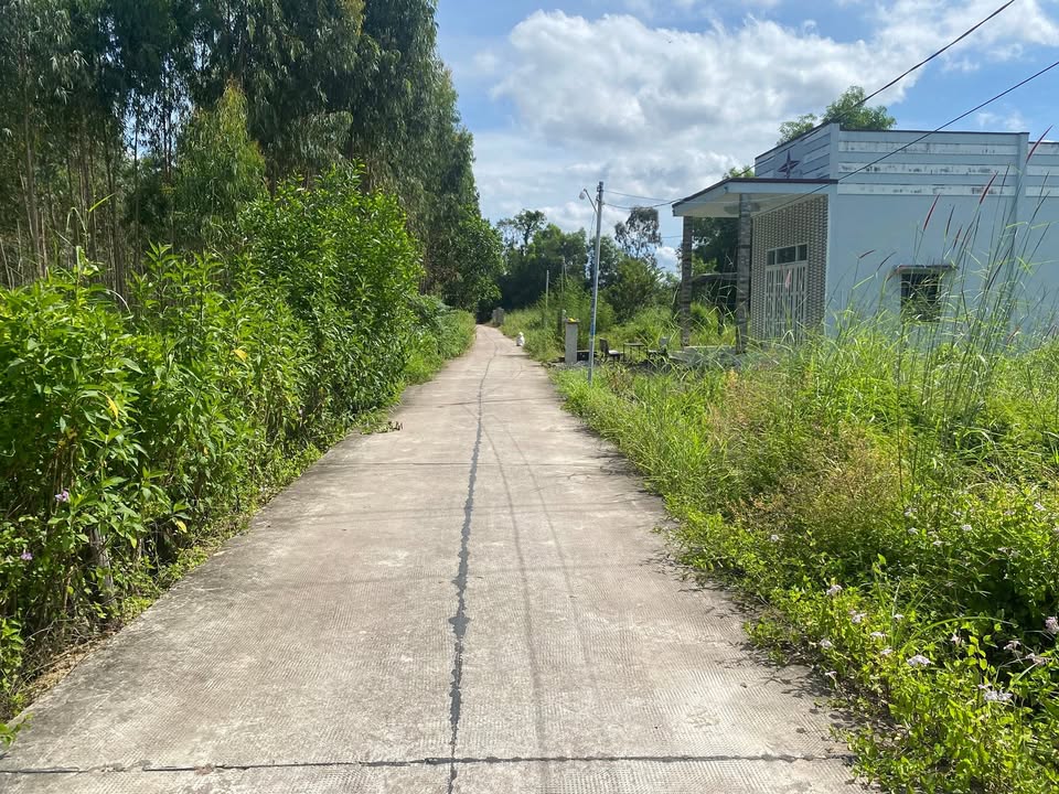 Đất nền Tân Xuân 135m² giá 490 triệu - Cơ hội đầu tư hấp dẫn!