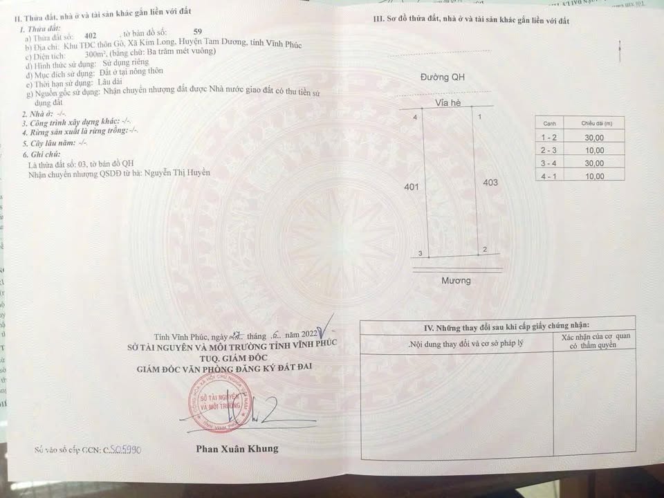 Đất nền mặt tiền 10m 300m² tại Tam Dương - Giá chỉ 5.925 tỷ