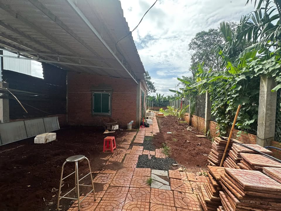 Bán đất Tân An, Buôn Ma Thuột 100m² giá 2.2 tỷ - Đầu tư sinh lời ngay!