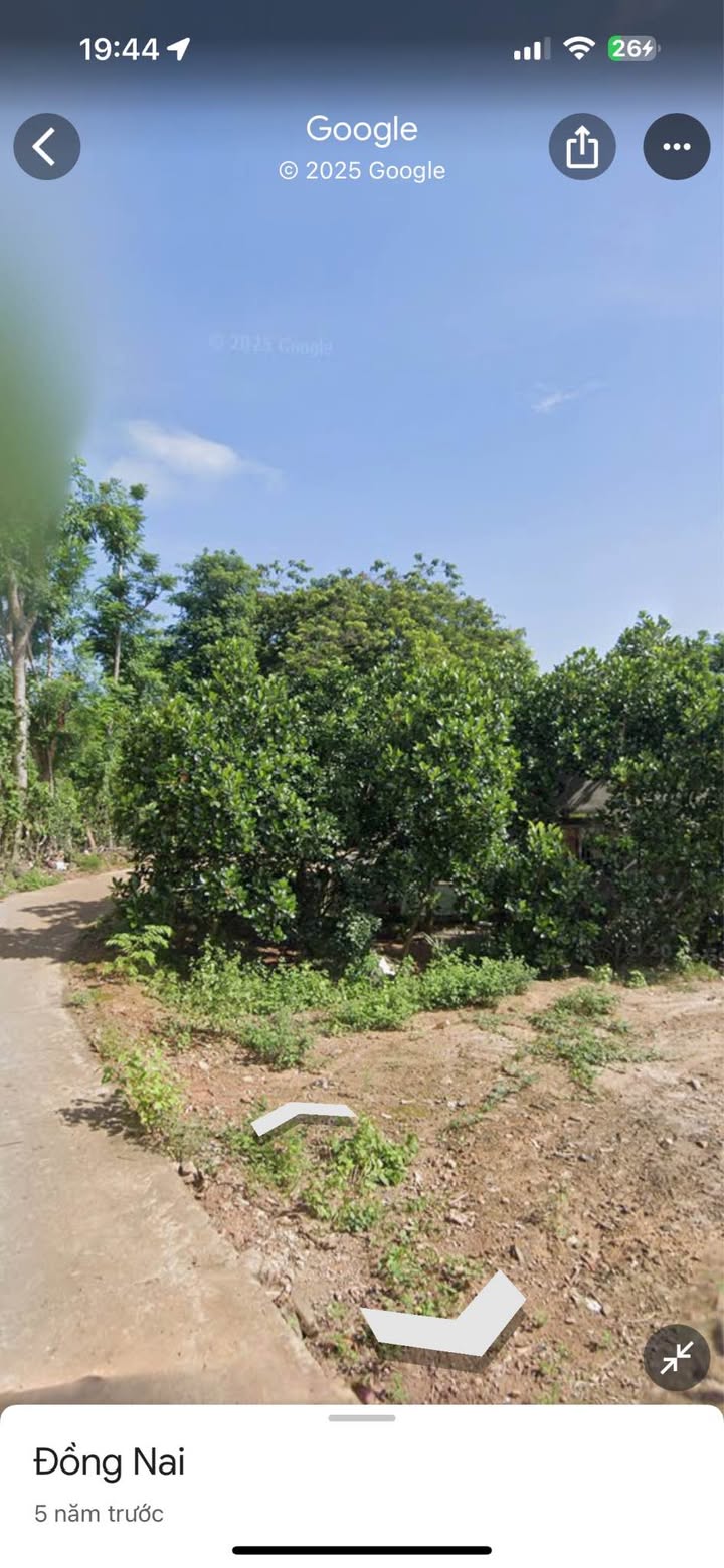 Đất chính chủ Đường Hàng Gòn, Định Quán 260m² chỉ 1.3 tỷ - Giá tốt hiếm có!