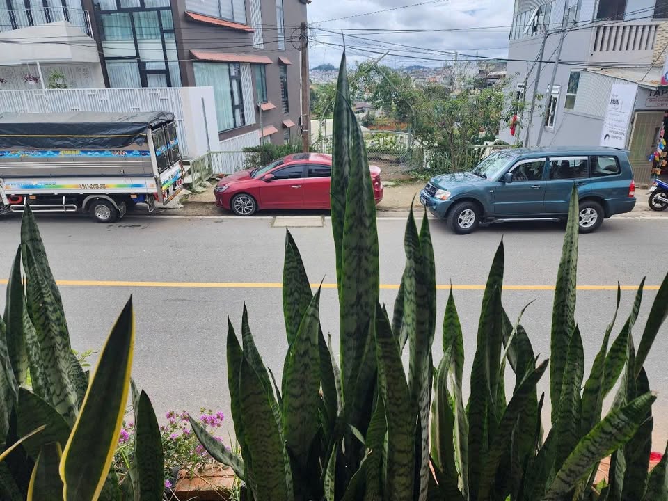 Cho thuê nhà nguyên căn hoặc mặt bằng tầng trệt tại Đà Lạt - Giá chỉ từ 10 triệu/tháng!