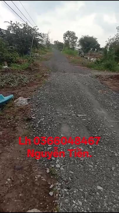 Đất 9,2 công tại Hưng Thạnh, Tân Phước giá 1.45 tỷ - Cơ hội đầu tư tuyệt vời!