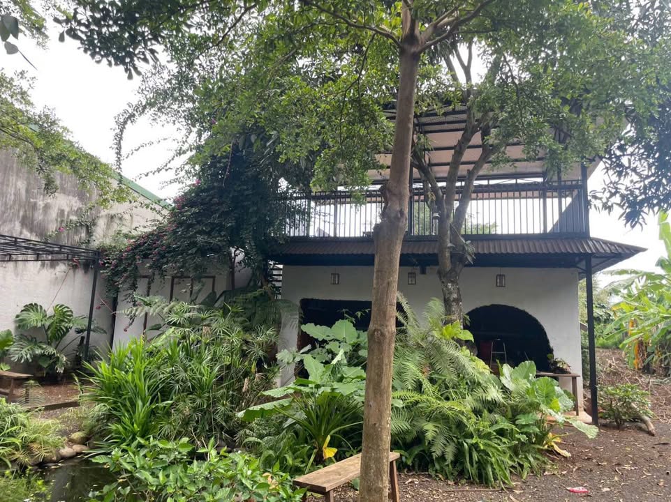 Cho thuê mặt bằng kinh doanh đường Võ Văn Kiệt 1360m² giá 10 triệu - Vị trí đắc địa cho mọi mô hình!