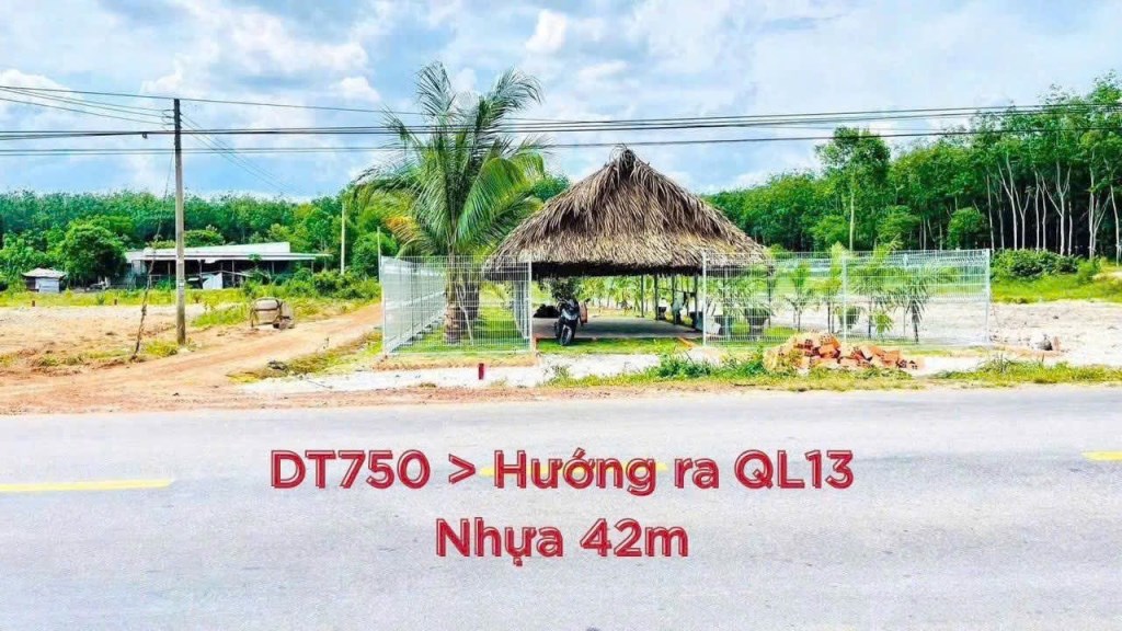 Đất Mặt Tiền DT750, 200m² chỉ 800 triệu - Cơ hội đầu tư sinh lời cao!