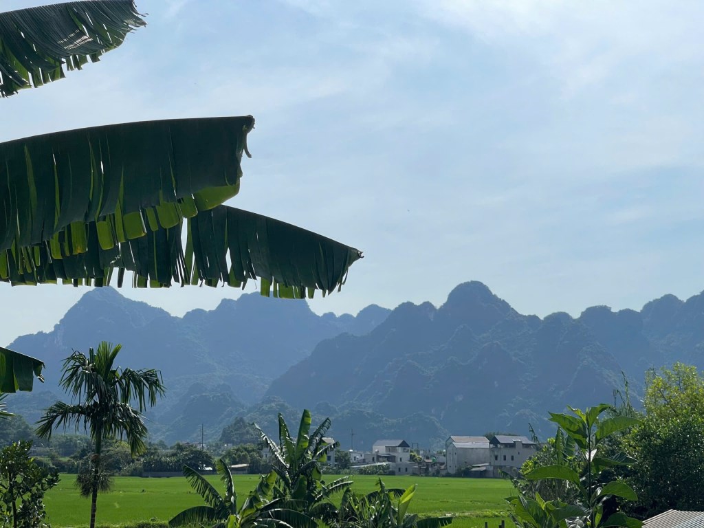 Nhà vườn 1.064m² tại Kim Bôi, Hòa Bình - View cánh đồng tuyệt đẹp