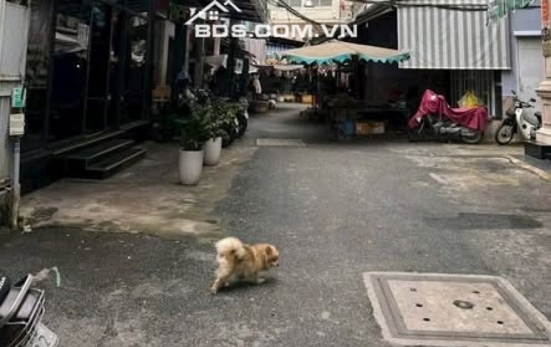 Nhà cho thuê Lê Văn Sỹ, Quận 3, 30m² giá 15 triệu - Kinh doanh sầm uất!