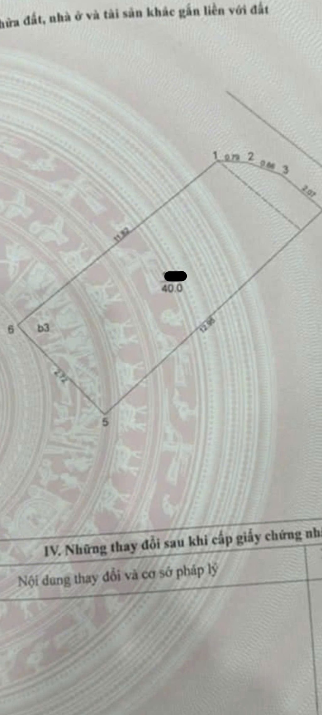 Nhà mặt phố lô góc Đội Cấn, Ba Đình 40m² giá 21,8 tỷ - Cơ hội hiếm có!