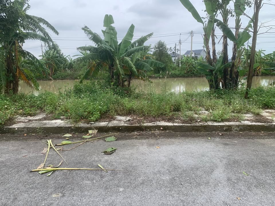 Đất nền phường Đông Sơn, Thanh Hóa 99m² giá chỉ 700 triệu - Cơ hội đầu tư sinh lời!