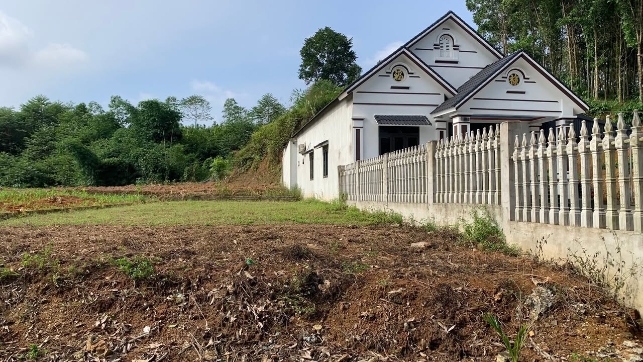 Đất thổ cư Yên Bình 1000m² giá 3 tỷ - Cơ hội đầu tư tuyệt vời!