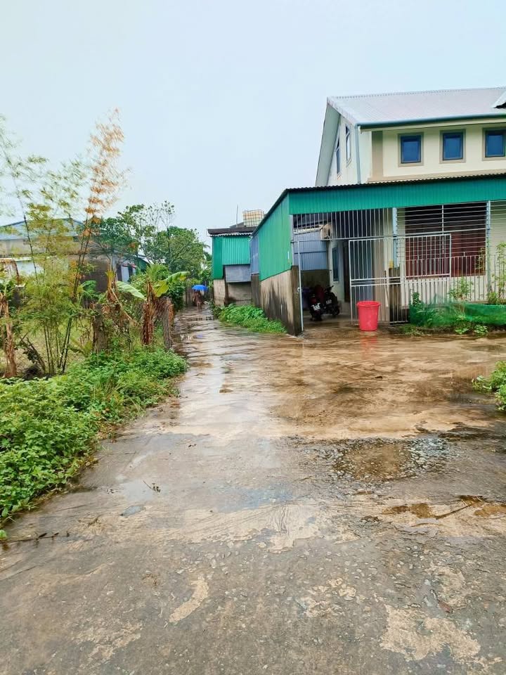 Đất thổ cư Thôn Nam Bình, Thạch Đài 523m² giá 3 tỷ - Vị trí đẹp gần tỉnh lộ 3!