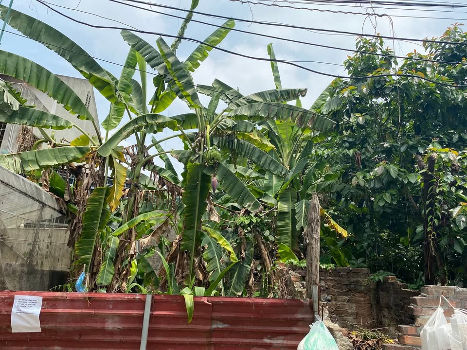 Đất thổ cư Sóc Sơn 50m² giá 2.3 tỷ - Mặt tiền đẹp, ô tô vào nhà!