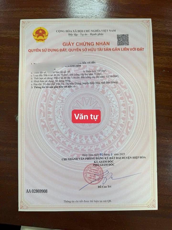 Đất nền Văn Tự Thị Trấn Thắng 150m² giá 700 triệu - Cơ hội đầu tư hấp dẫn!