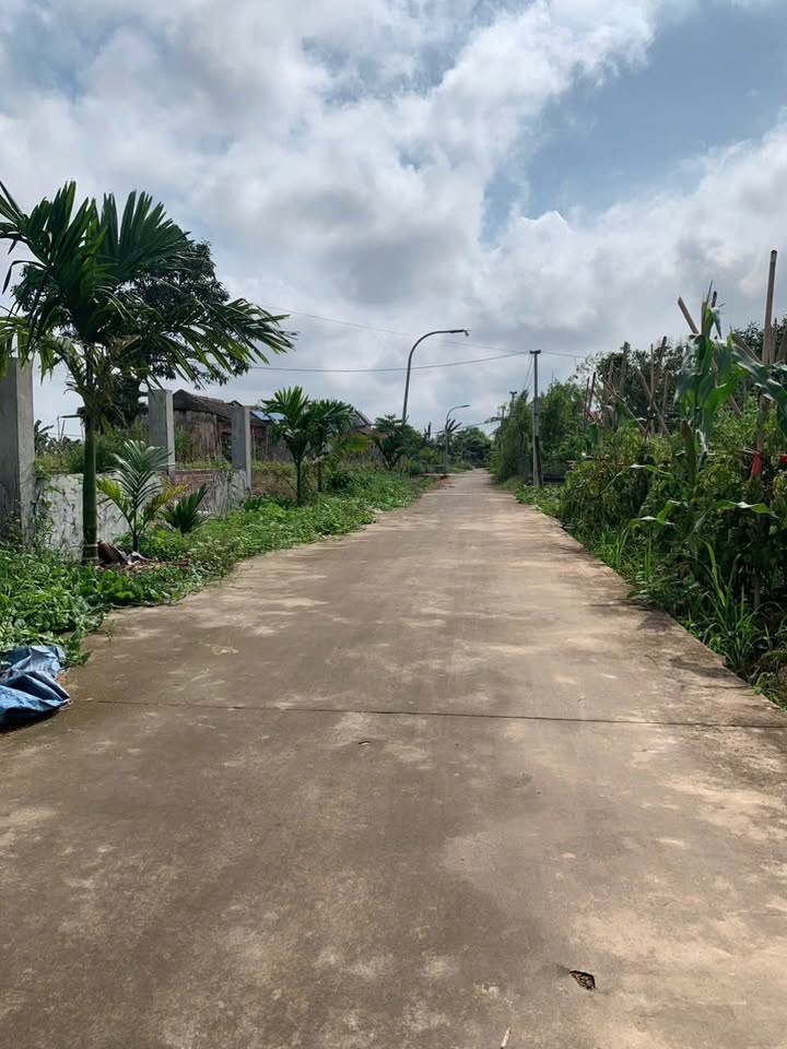 Lô đất đẹp Xóm 6, Nam Điền 173m² giá 800 triệu - Đầu tư sinh lời cao!