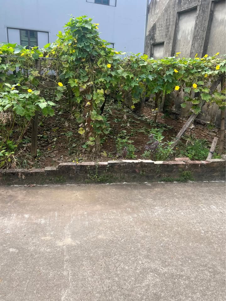 Đất thổ cư Vân Tảo Thường Tín 84m² giá 2.526 tỷ - Tiềm năng phát triển lớn!