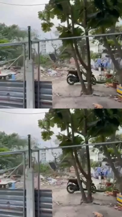 Đất nền Đường 1, Quận 12, 1000m² giá 55 tỷ - Cơ hội đầu tư hấp dẫn!