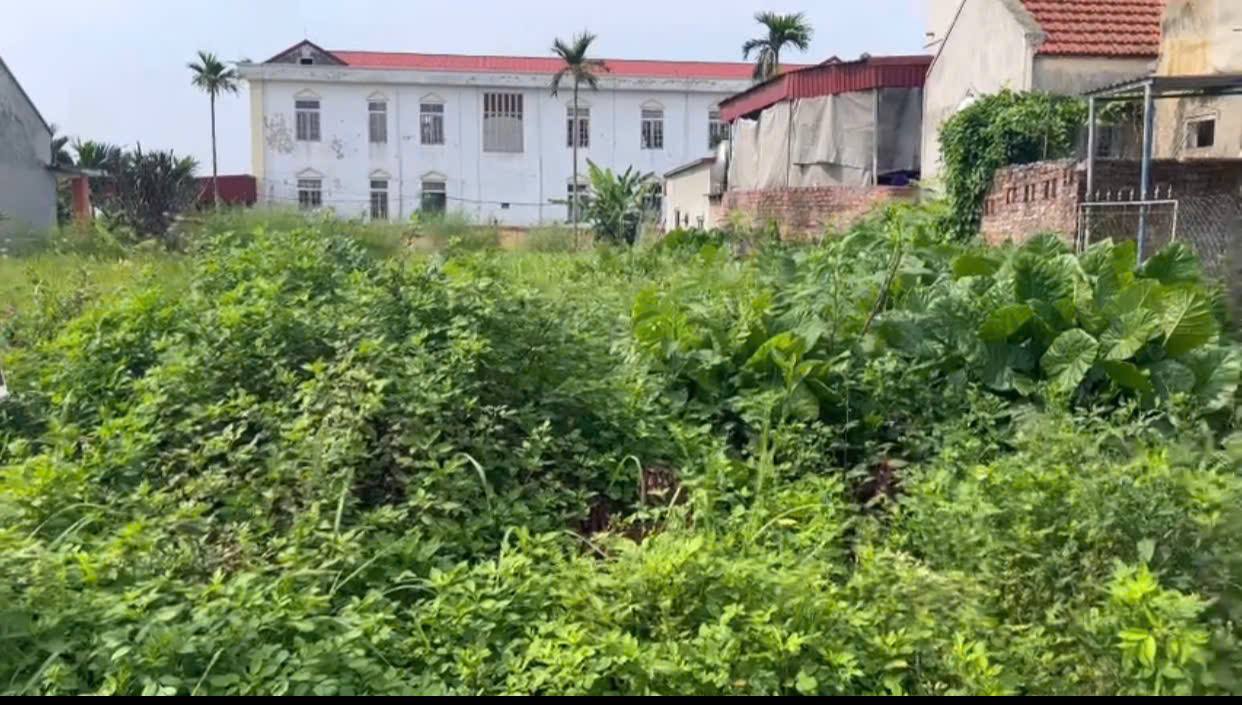 Đất nền xóm Bắc Sơn, xã Hải Chính, Hải Hậu 120m² giá 800 triệu - Tiện ích đầy đủ, đầu tư sinh lời!