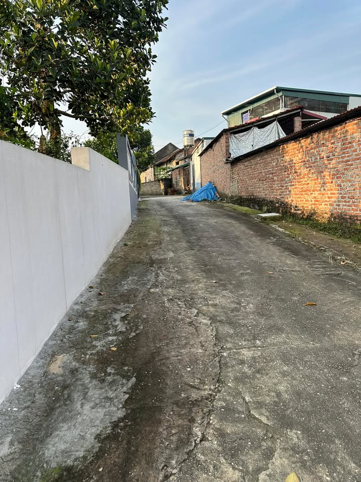 Đất thổ cư chính chủ tại xã Thanh Đình, Việt Trì - Diện tích 112m², giá thỏa thuận!