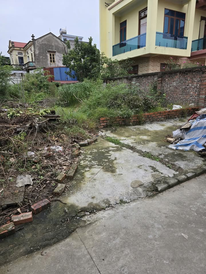 Đất nền Phù Khê Bắc Ninh 124m² giá 2.48 tỷ - Chính chủ bán gấp!