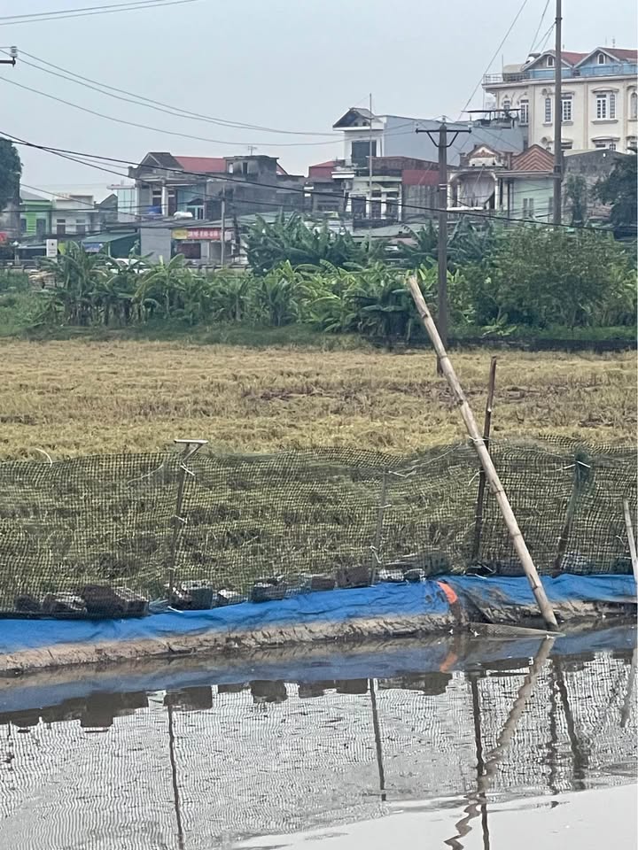 Đất nền tại phường Nam Hòa, Hoa Lư, Ninh Bình 120m² giá chỉ 2 tỷ - Cơ hội đầu tư hiếm có!