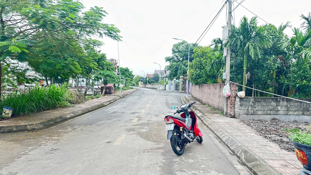 Đất nền Tân Dân, An Lão 80m² giá 1 tỷ - Đầu tư sinh lời nhanh!