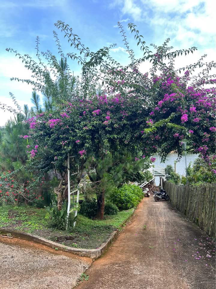 Đất nền Kiến Thành Đắk Nông 552m² giá 4.5 tỷ - Ôm view hồ thơ mộng!