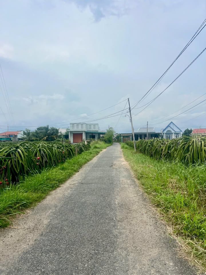 Đất vườn mặt tiền nhựa xã Hàm Mỹ 1.704m² giá 1.75 tỷ - Cơ hội đầu tư sinh lời!