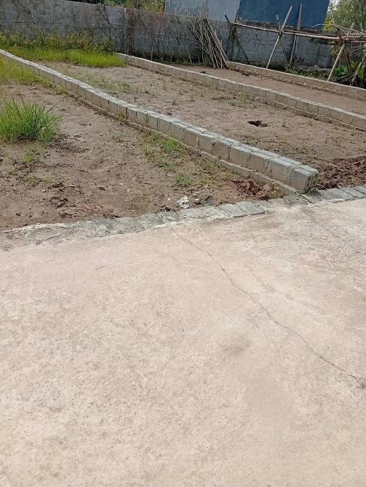 Đất mặt tiền 5m Chương Dương, Thường Tín 53m² giá 2 tỷ - Sổ đỏ sang tên nhanh!