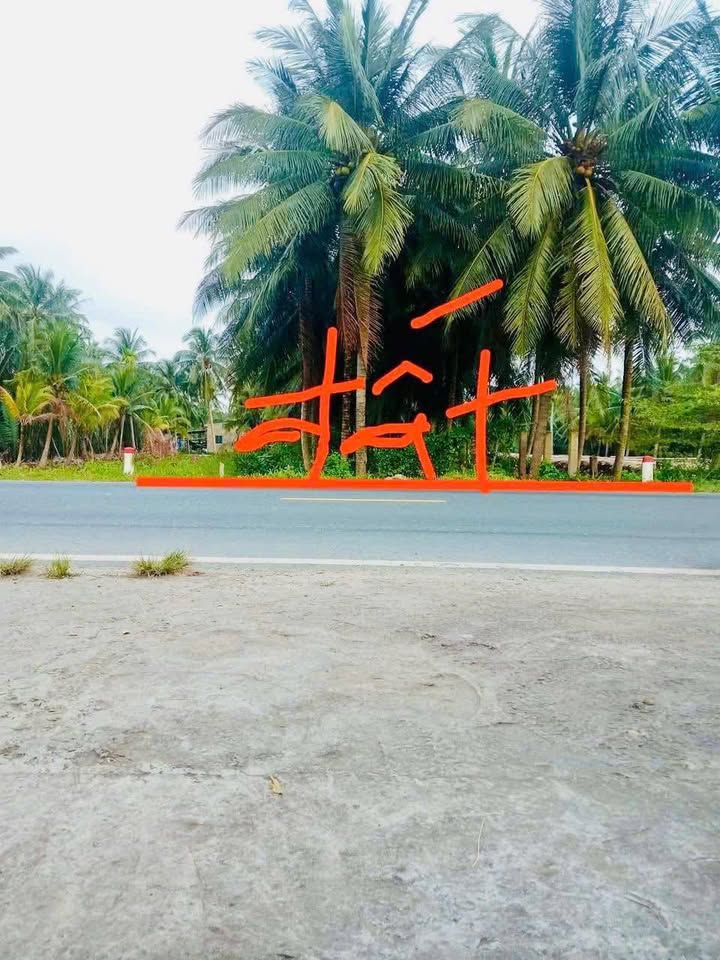 Đất mặt tiền Quốc lộ 60, xã Tân Hội, huyện Mỏ Cày Nam, 1262m² - Kinh doanh sinh lời!