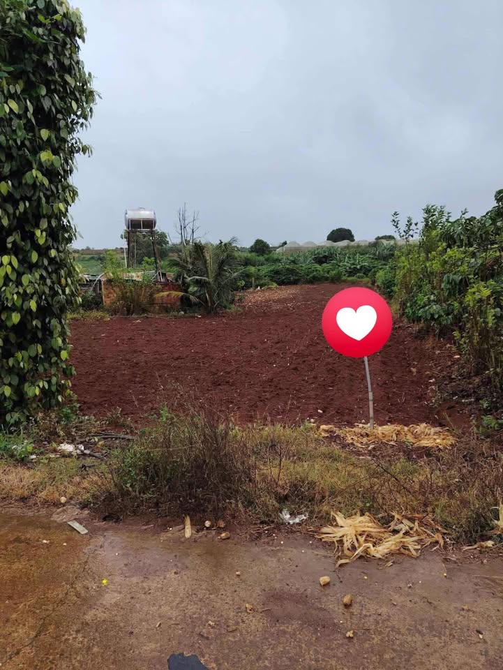 Đất nền Tân Hội 330m² giá 1.4 tỷ - Nhanh tay sở hữu ngay!