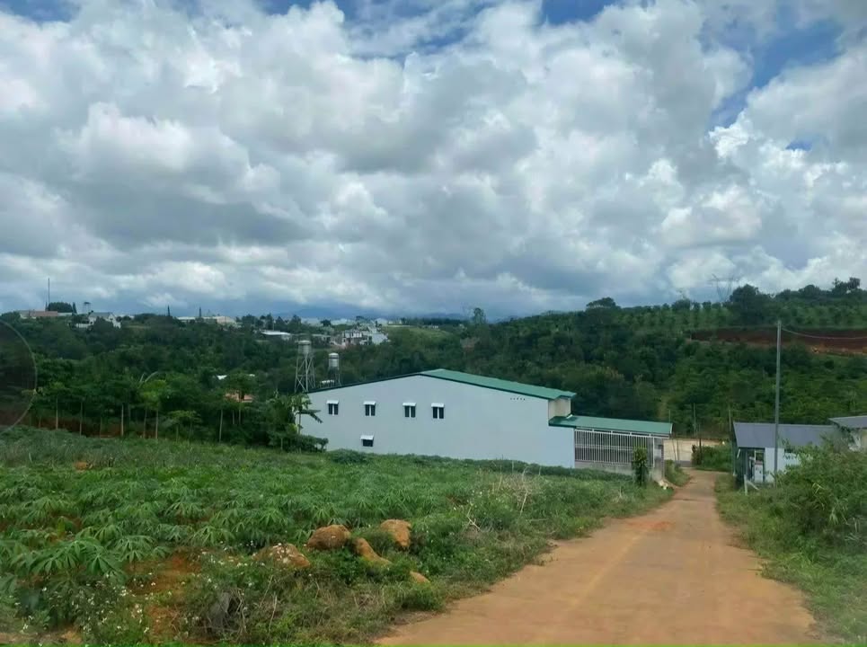 Đất thổ cư Hẻm 360 Phan Đình Phùng, Đà Lạt 186m² - Giá chỉ 1.35 tỷ!