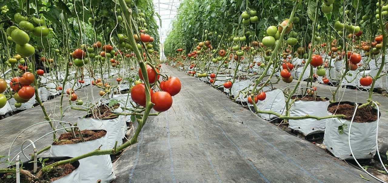 Lô đất Hòa Ninh 2600m² giá 1.8 tỷ - Cơ hội đầu tư sinh lời!