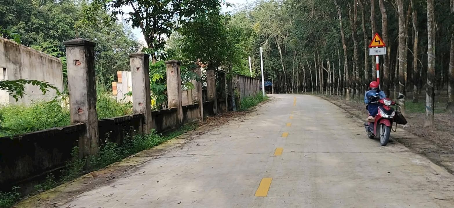 Đất thổ cư Bình Mỹ 110m² giá 800 triệu - Đầu tư sinh lời cao!